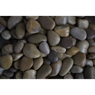 Margo 20 lb Mixed Grade A Polished Pebbles, .5" to 1.5"   555017537